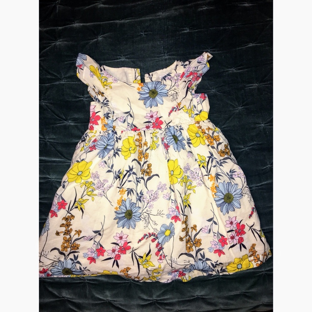 Gap Floral Ruffle-Sleeve Dress